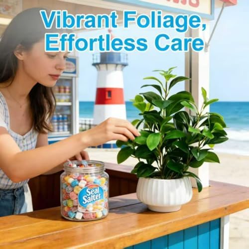 Artificial Peperomia Plants 16” Tall Lifelike Faux Greenery in 6” White Ribbe...