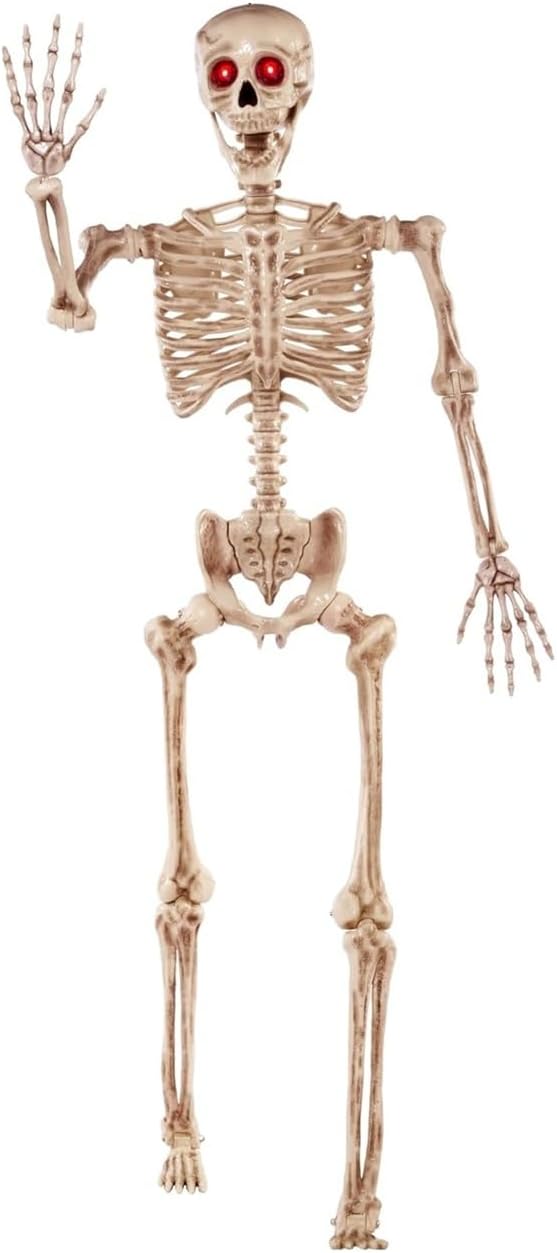 JOYIN 5.6 FT Halloween Posable Skeleton Life Size with LED Red Glowing Eyes, ...