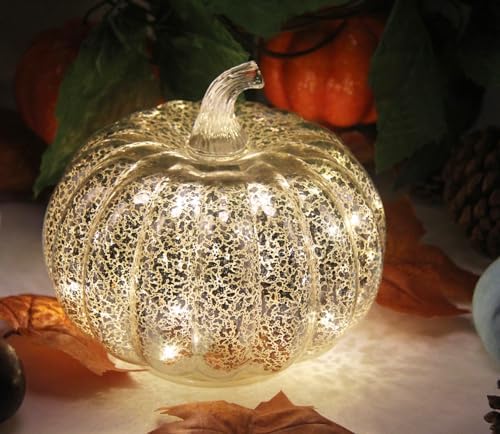 Fall Decorations for Home,Mercury Glass Pumpkin Lights with Timer(Silver)