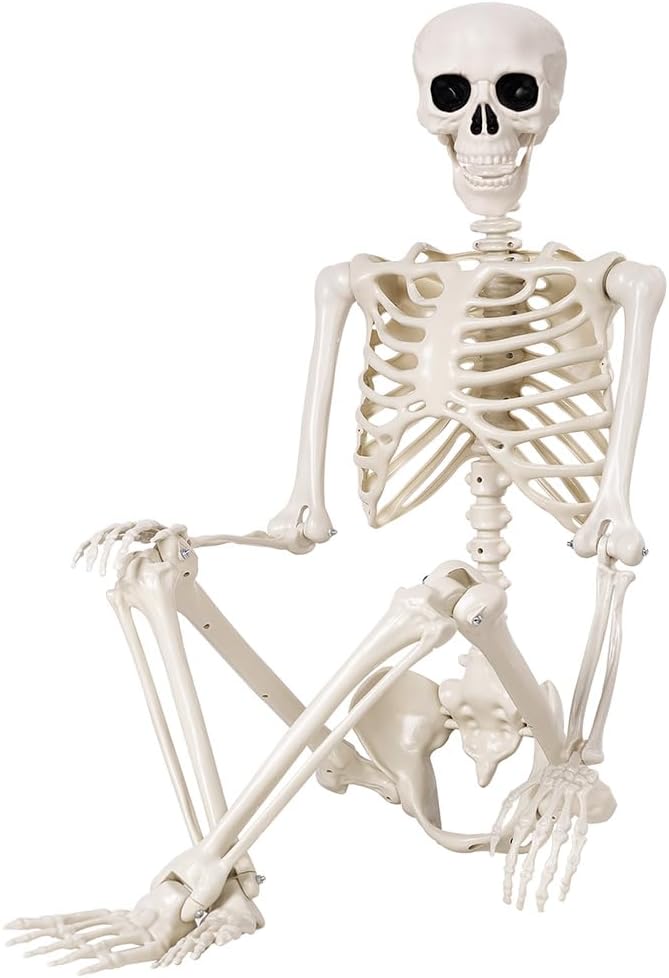 Halloween Skeletons Decorations - 5.4FT Life Size Posable Skeletons, Realisti...