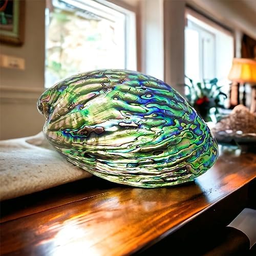 ABCGEMS AAA Abalone Shell Beads - Mosaic Round 12mm (Full Strand 33Pcs)