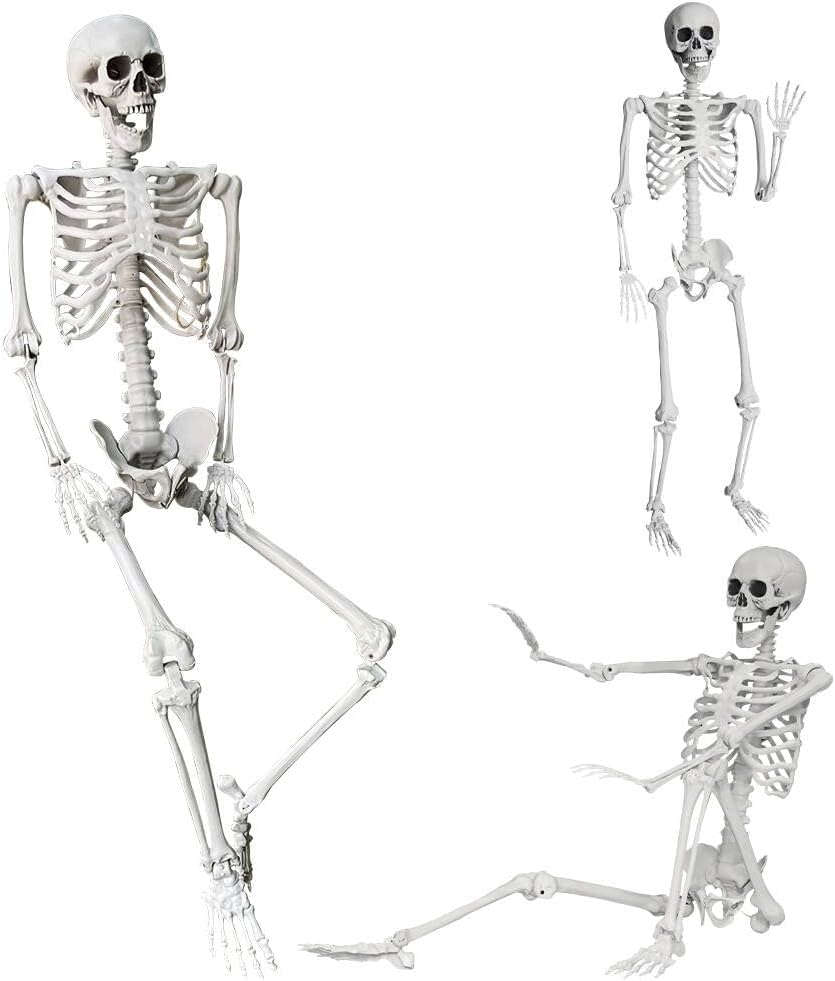 Wocst 5.4Ft/165cm Halloween Skeleton Full Body Life Size Human Bones with Mov...