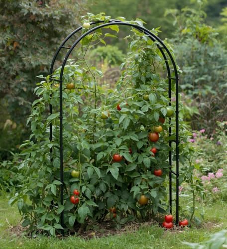 Thickened Tube Garden Arch,7.3ft Heavy-Duty Metal with 16mm Steel Tubes &...