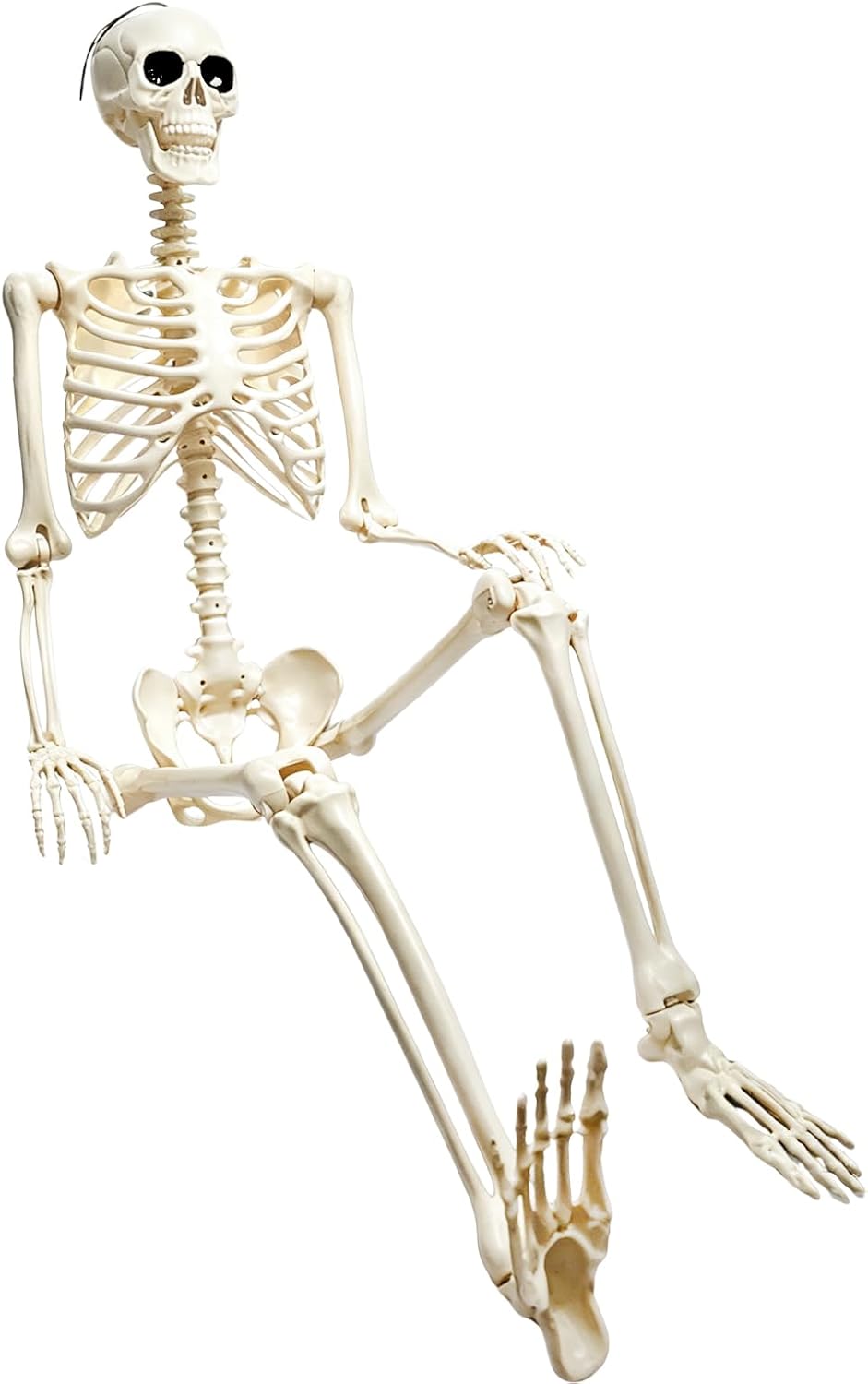 5.4FT Life Size Posable Halloween Skeleton Decorations, Full Body Realistic P...