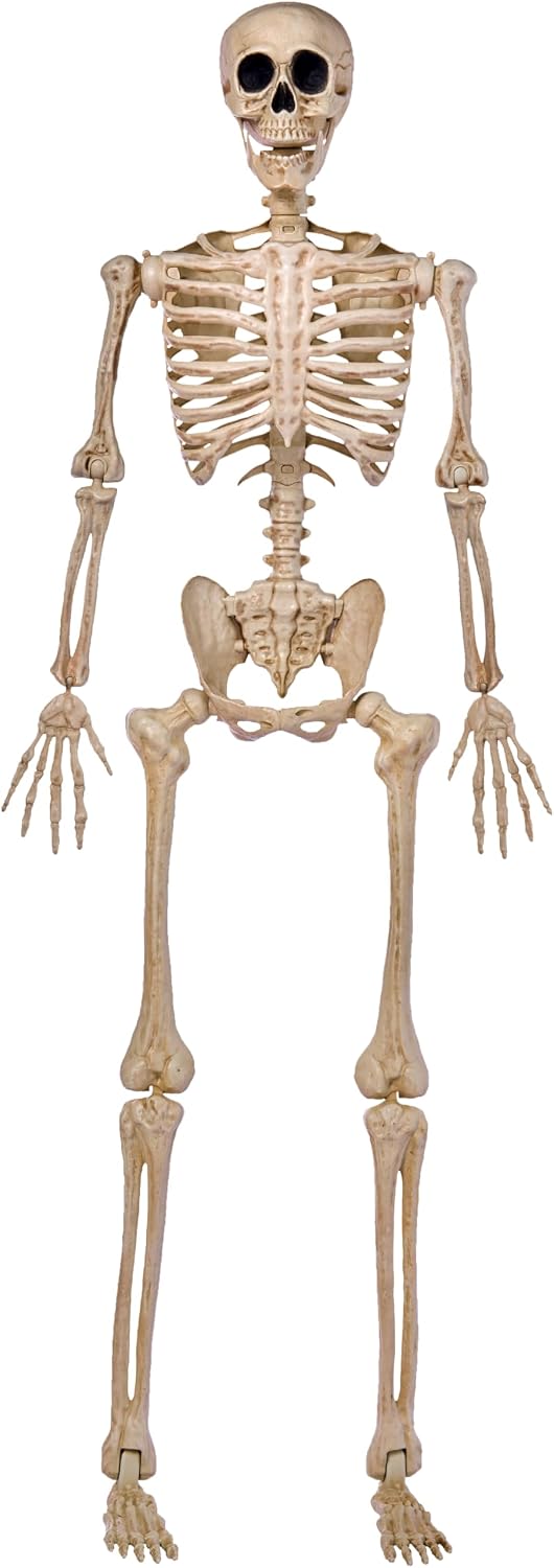 JOYIN 5 FT Halloween Skeleton Life Size, Stayable Posable Skeleton Decor, Ful...