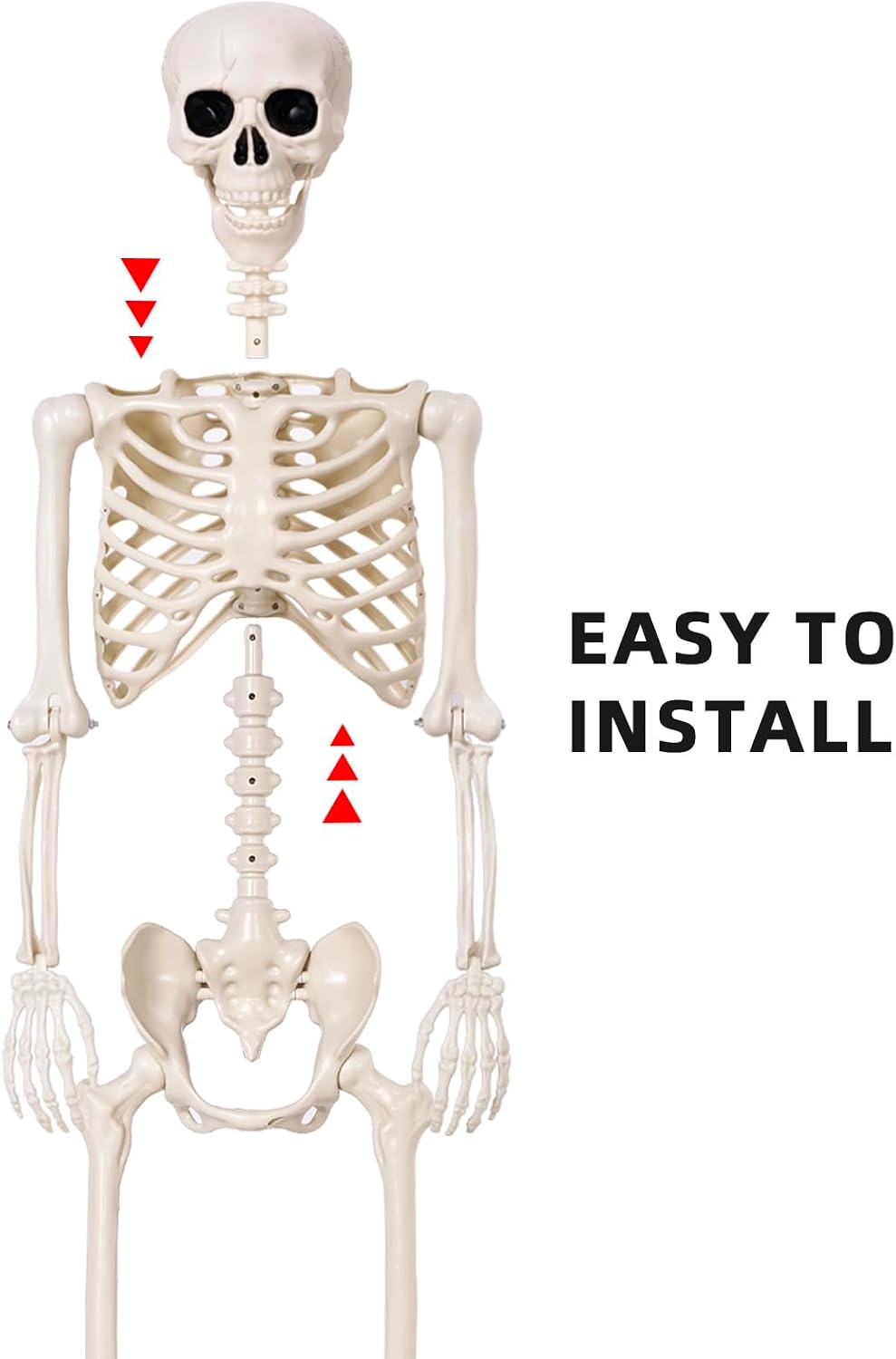 Halloween Skeletons Decorations - 5.4FT Life Size Posable Skeletons, Realisti...