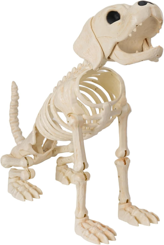 JOYIN Halloween Golden Retriever Skeleton 34” Animal Dog Plastic Skeleton with Movable Posable Joints for Haunted Houses Halloween Decorations, Graveyard Scenes, Outdoor Indoor Garden Party Decor