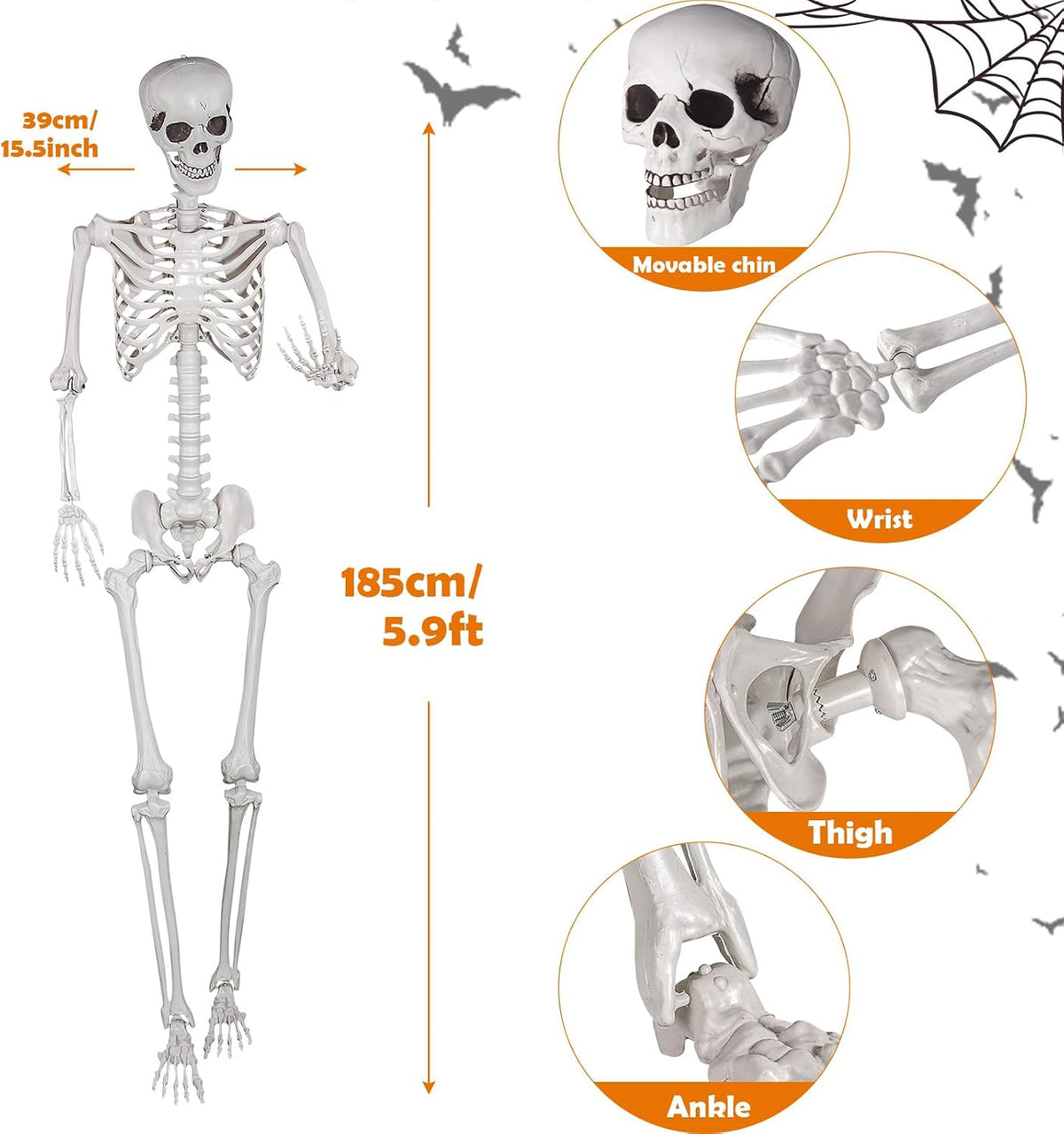 5.9ft Halloween Skeleton, Realistic Life Size Skeleton with Movable Joints fo...
