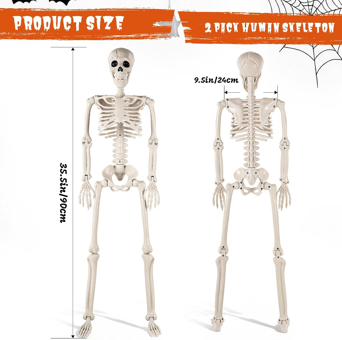 DWTS 2 Pack 36" Skeletons for Halloween - 3 Ft Life Size Human Skeleton ...
