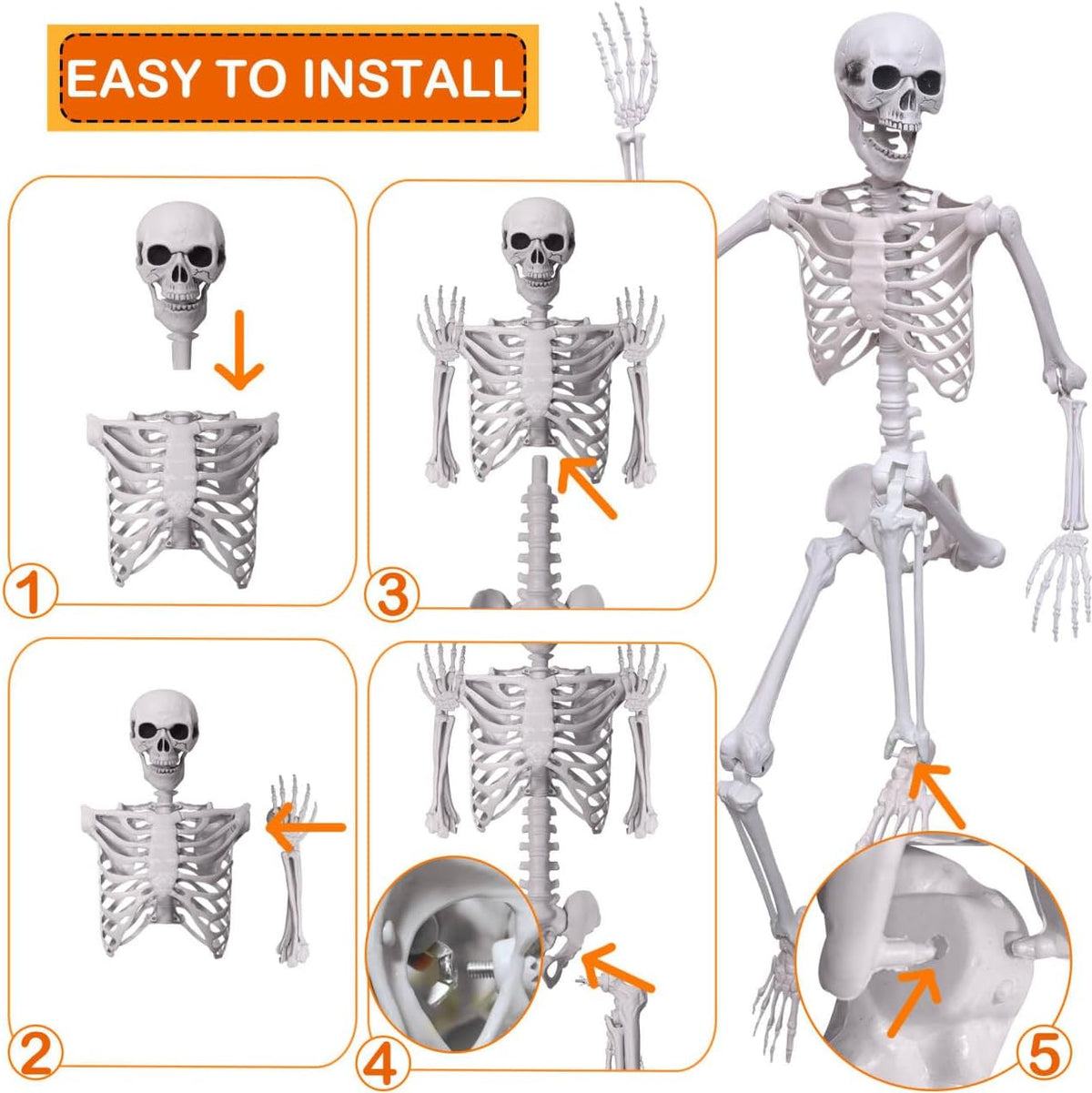 Wocst 5.4Ft/165cm Halloween Skeleton Full Body Life Size Human Bones with Mov...