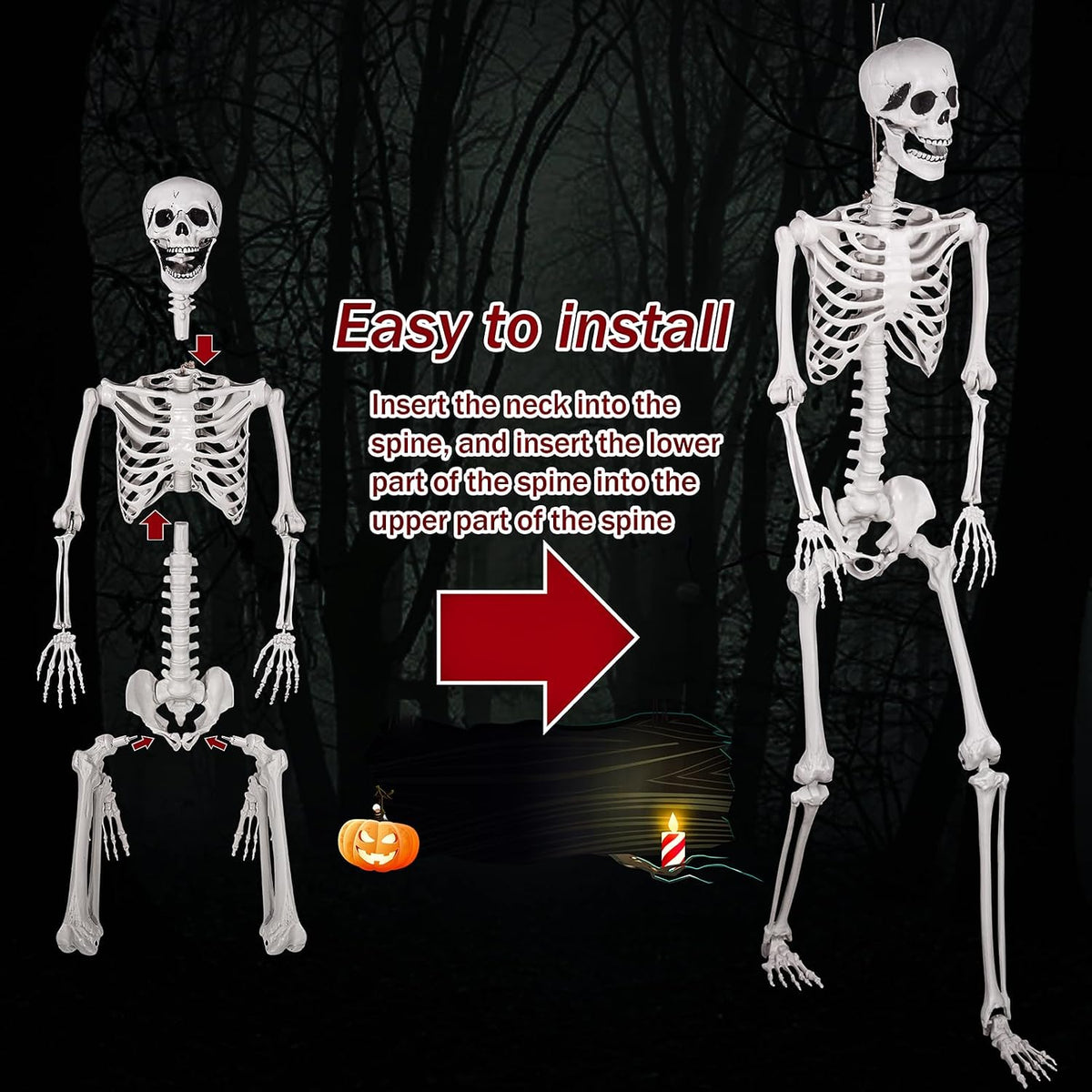 5.9ft Halloween Skeleton, Realistic Life Size Skeleton with Movable Joints fo...