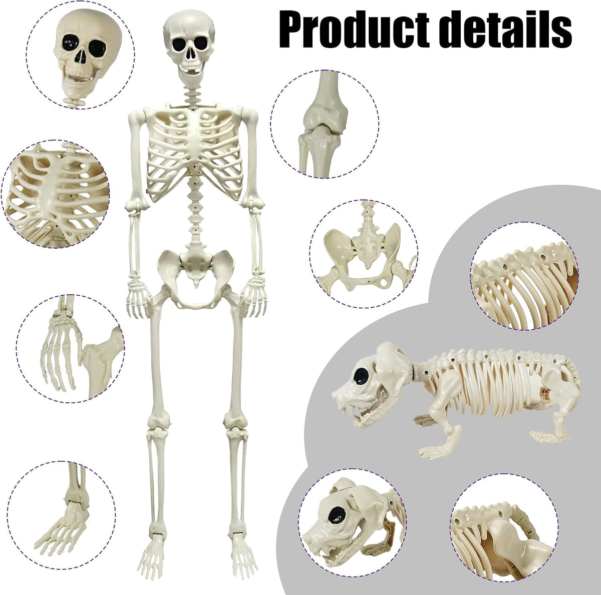 NEROSUN 5.4FT Halloween Skeletons Decoration, Posable Life Full Size Skeleton...