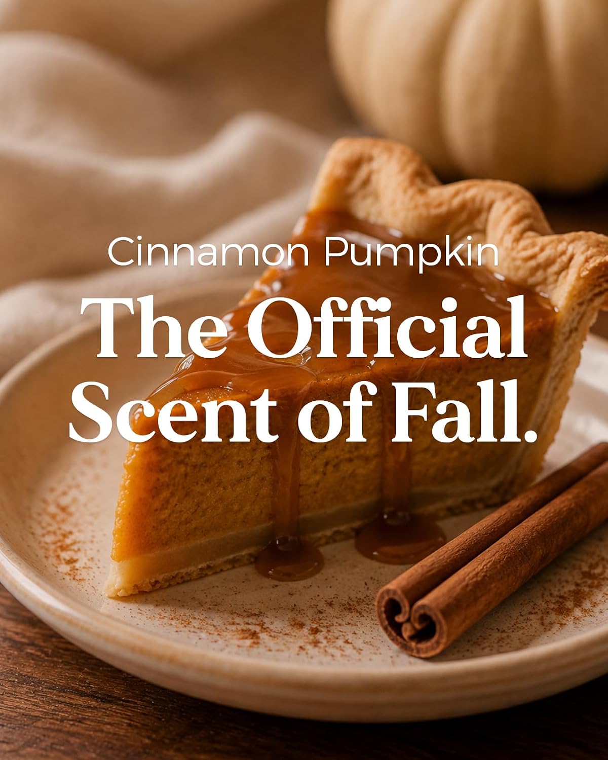 M&SENSE Cinnamon Pumpkin Scented Candle Fall Baking Spice Aroma 19.4oz