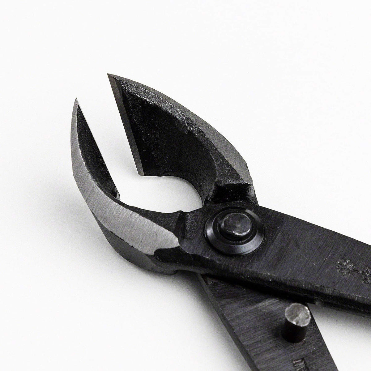 Wazakura Bonsai Branch Cutter Set, Concave Cutter and Knob Cutter, Japan