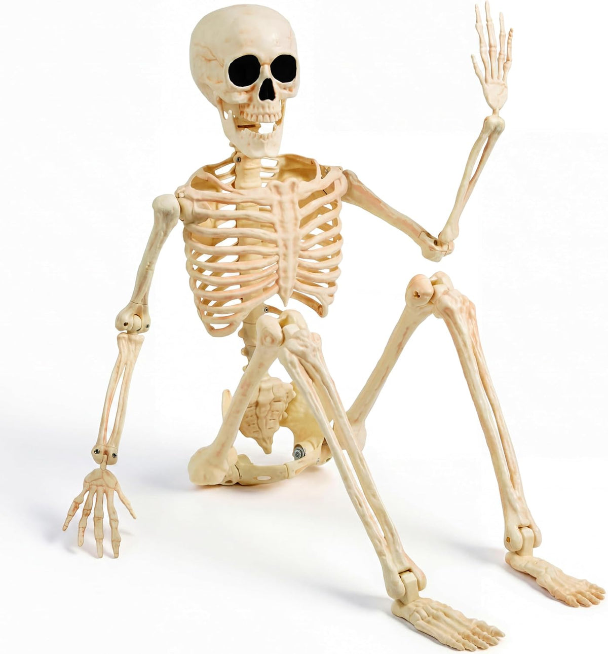 JOYIN 36" Halloween Skeleton Decor, 3FT Full Body Realistic Bones with S...