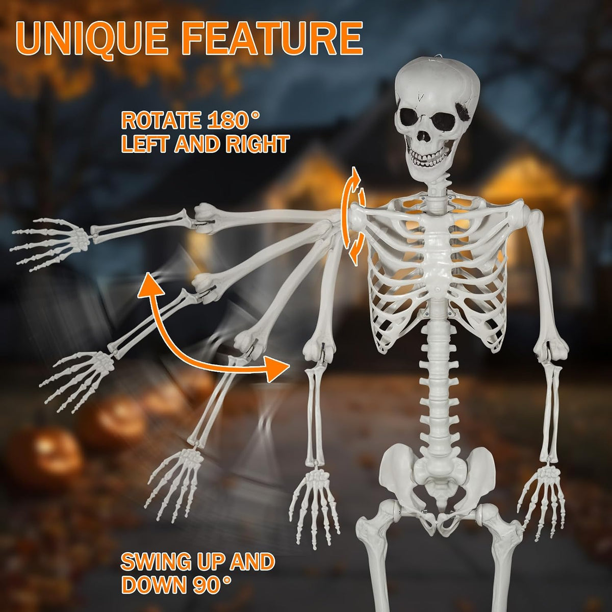 Halloween Skeleton, Realistic Life Size Skeleton with Movable Joints for Hall...