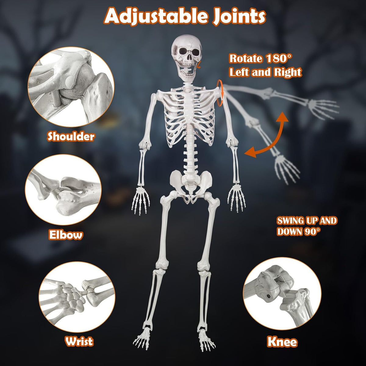 Halloween Skeleton, Realistic Life Size Skeleton with Movable Joints for Hall...