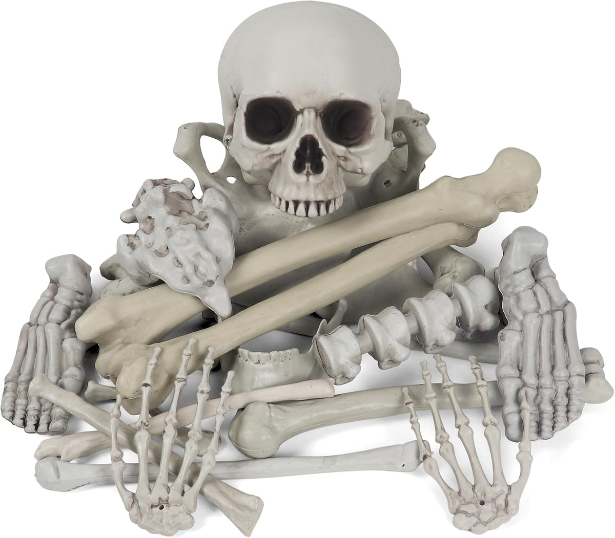 MOKRY PARTY Bag of Bones Halloween Life Size Skeleton Skull for Decoration an...