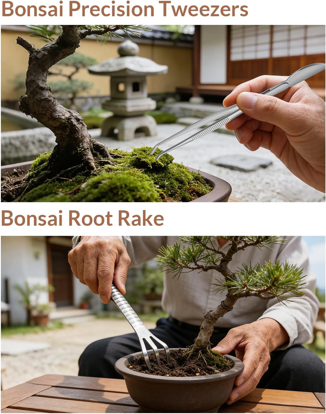 Bonsai Tool Set 6PCS in an Wood Gift BOX, Bonsai Tools Stainless Steel
