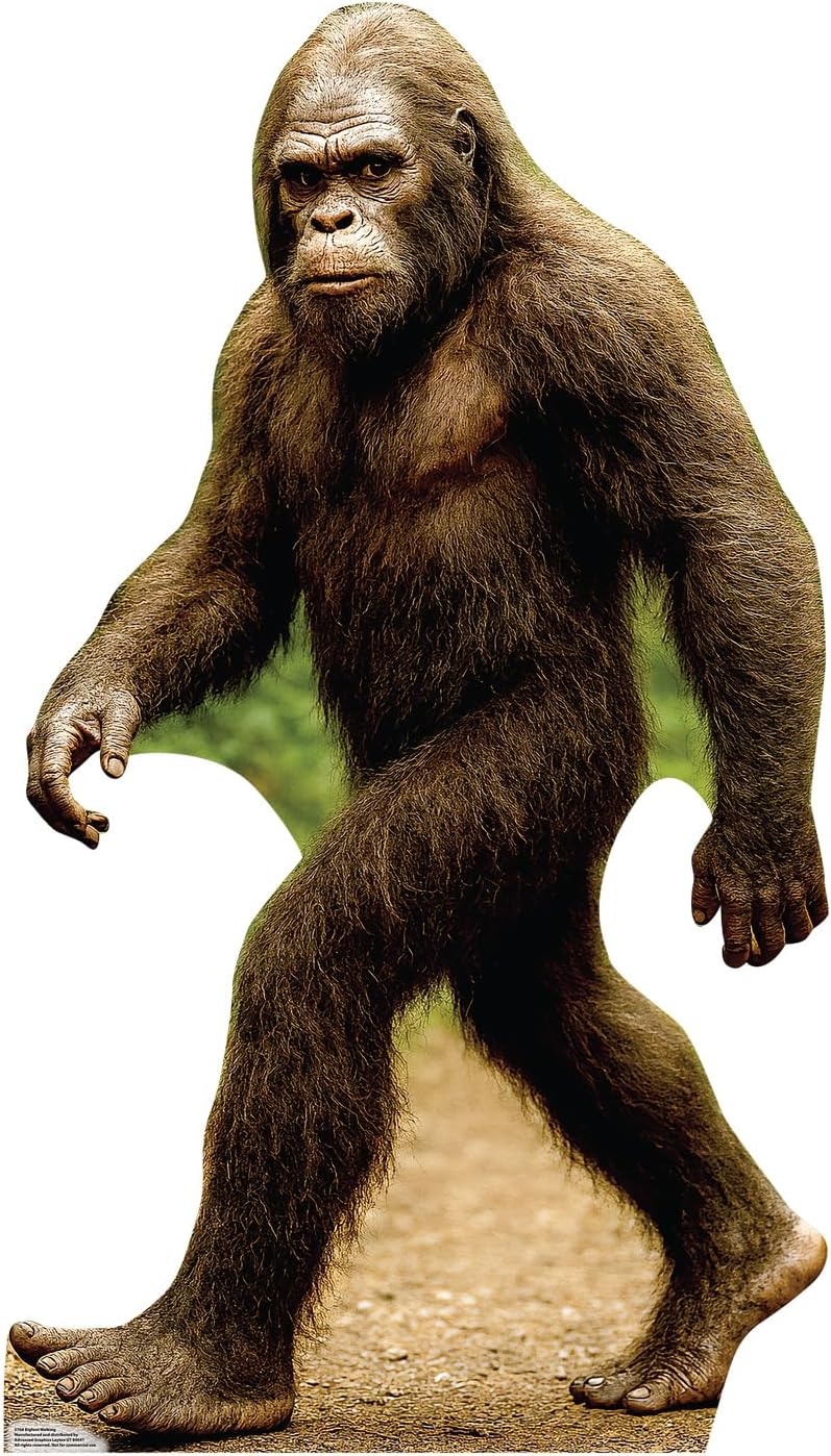 Cardboard People Bigfoot Walking Cardboard Cutout