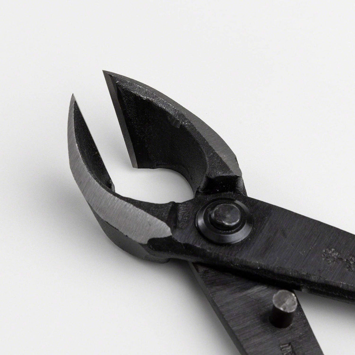 Wazakura Bonsai Concave Branch Cutter 8in, Hand Forged Japanese Steel