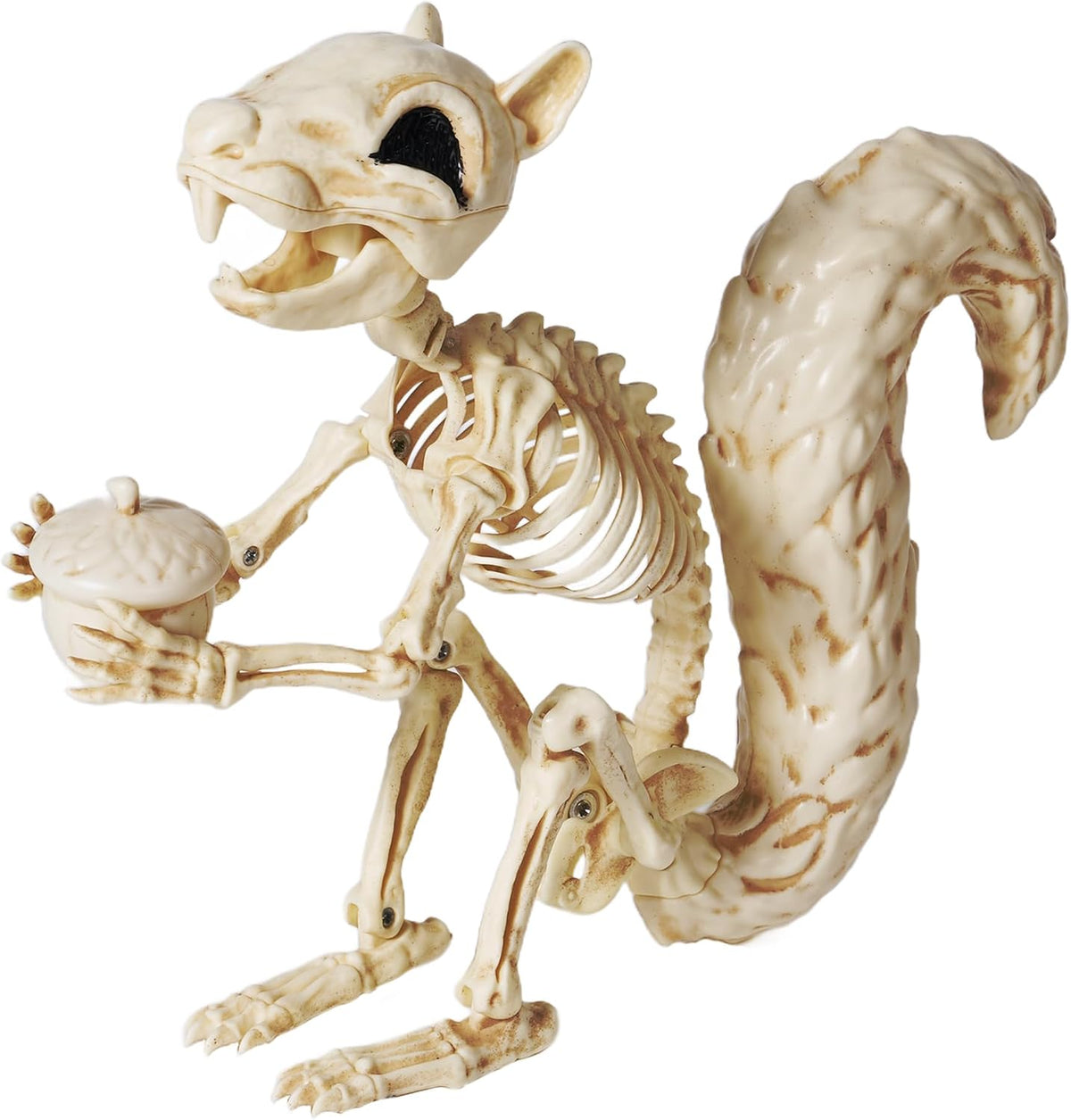 JOYIN Squirrel Skeleton Halloween Decoration 9.1 Inch Animal Posable Skeleton...
