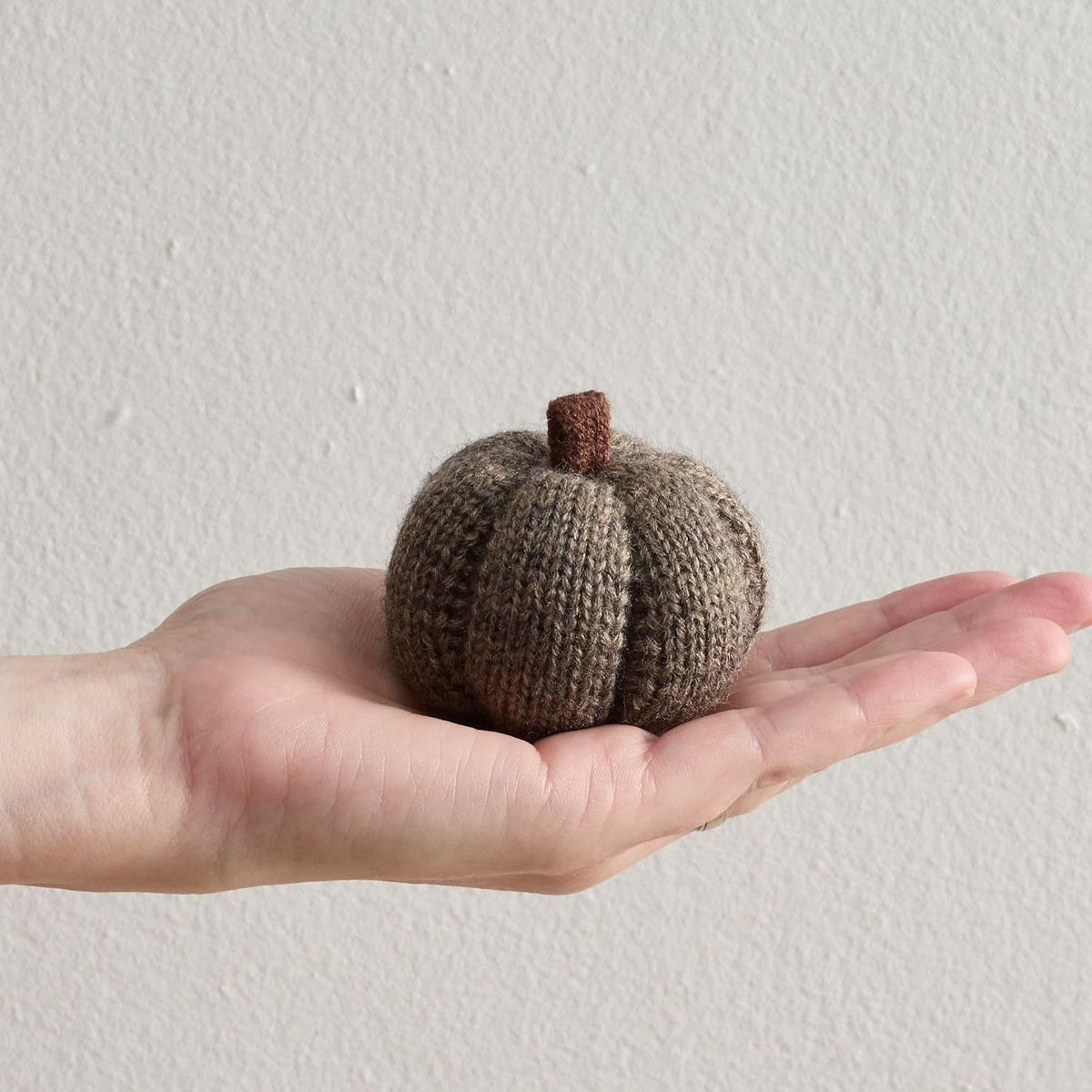 Cozy Mini Knit Pumpkin Set of 12 (Spiced Maple Full Set)