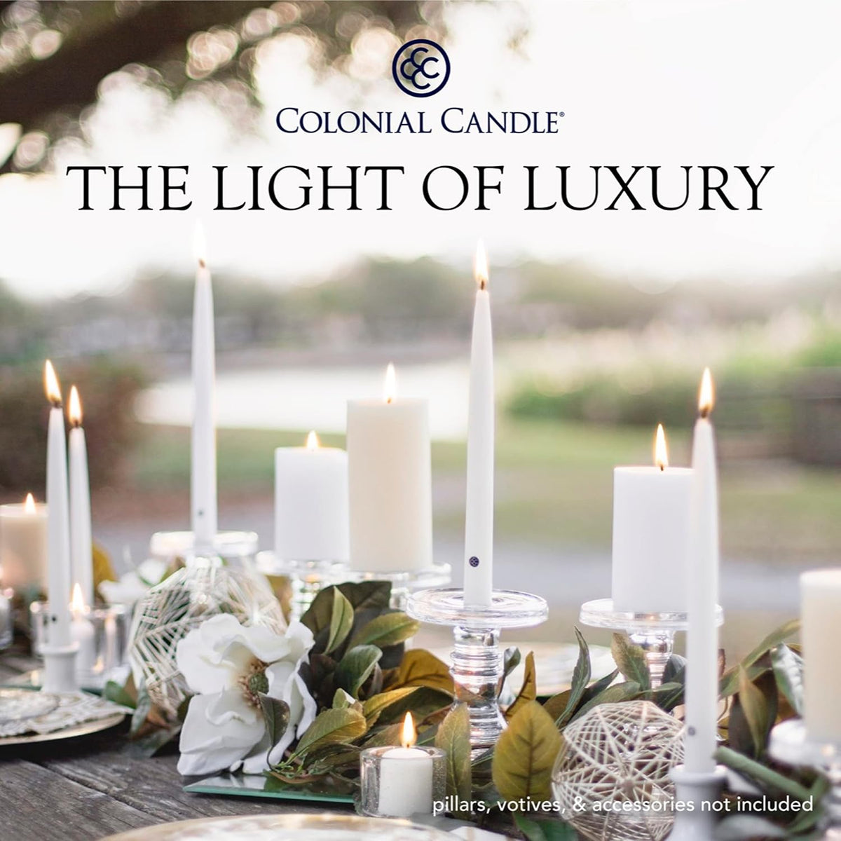 Colonial Candle Classic Tapers, 8-Inch, Mulberry - Pack of 12