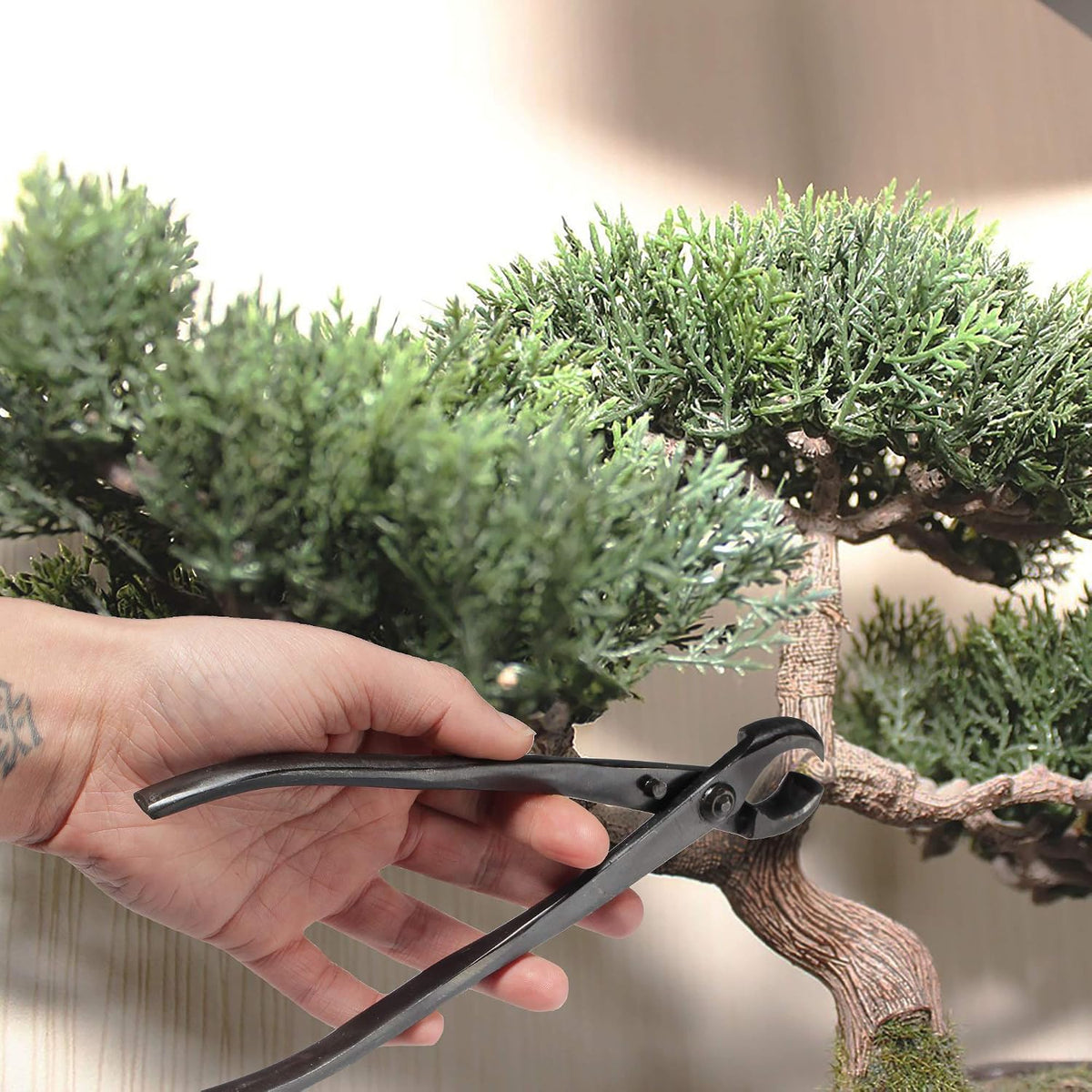 BambooMN Bonsai Tool Kit - 8" Concave Cutter & 8" Knob Cutter -...