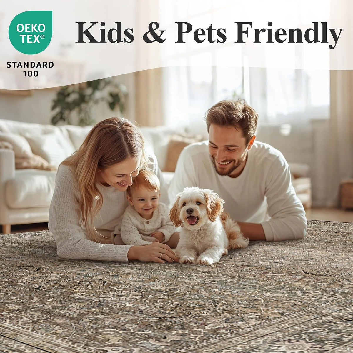 Schweek 8x10 Brown Area Rugs Washable Vintage Large Rug for Living Room