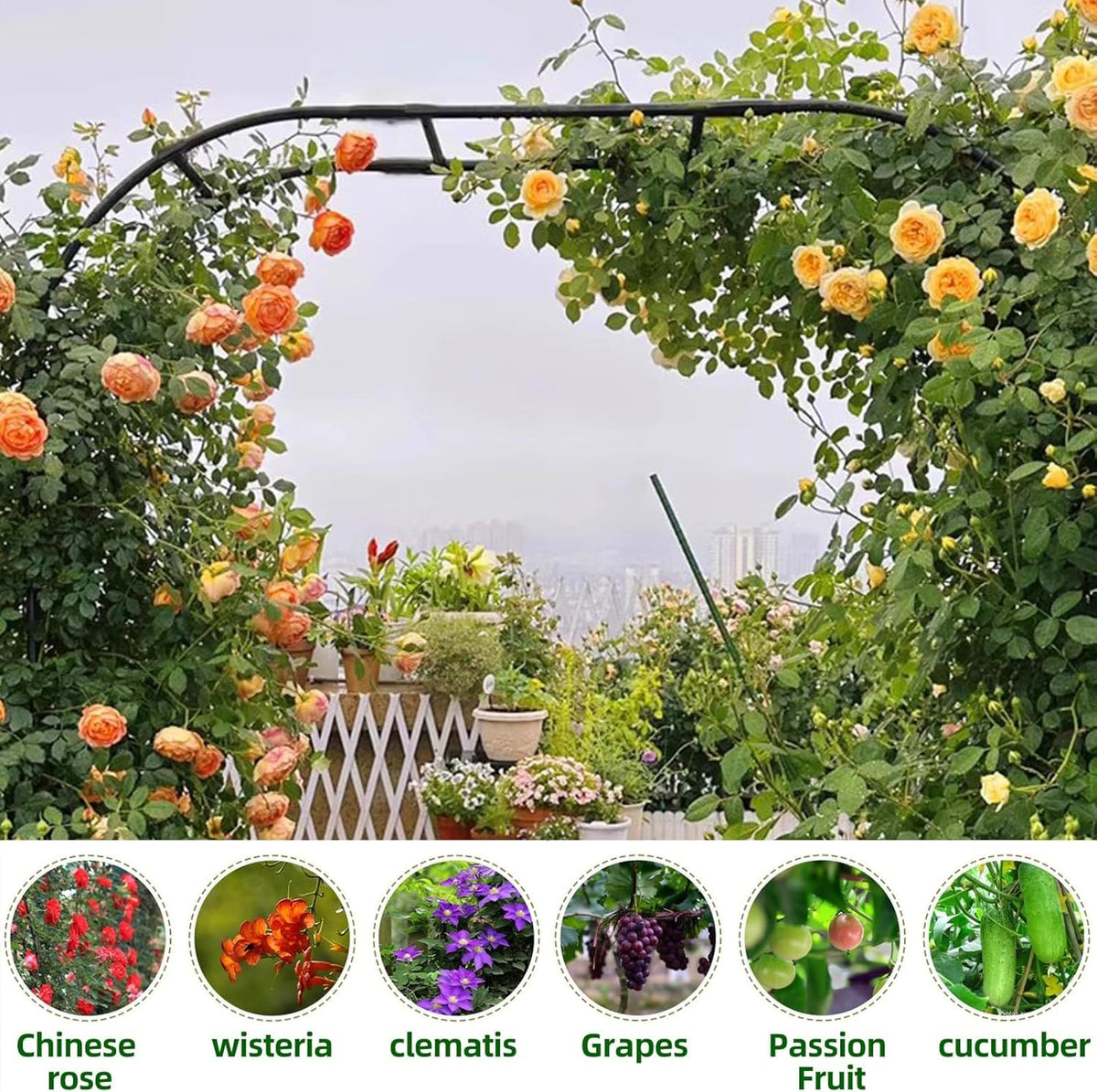BUKLIYN Garden Arch Trellis - Garden Arch Size:126in(L) * 94.5in(H)