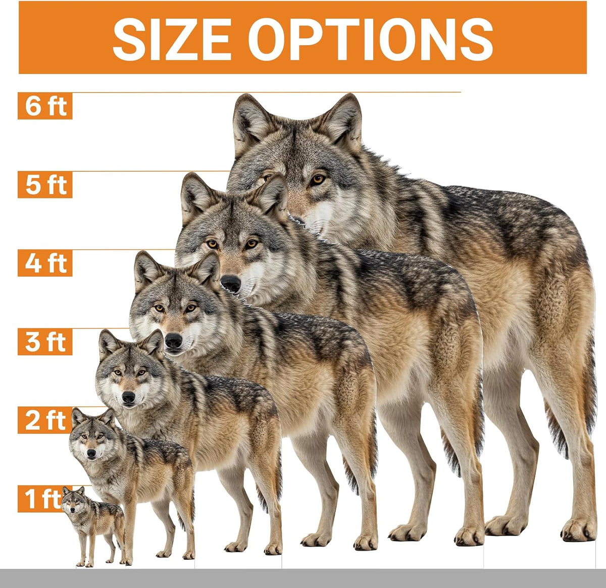 Wolf 6FT Life Size Cardboard Cutout Animal Standup, 1 PC