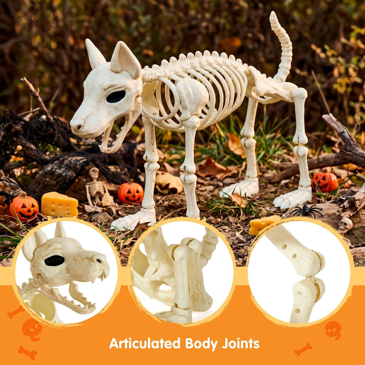 JOYIN 34” Halloween German Shepherd Skeleton, Life Size Plastic Dog Skeleton ...