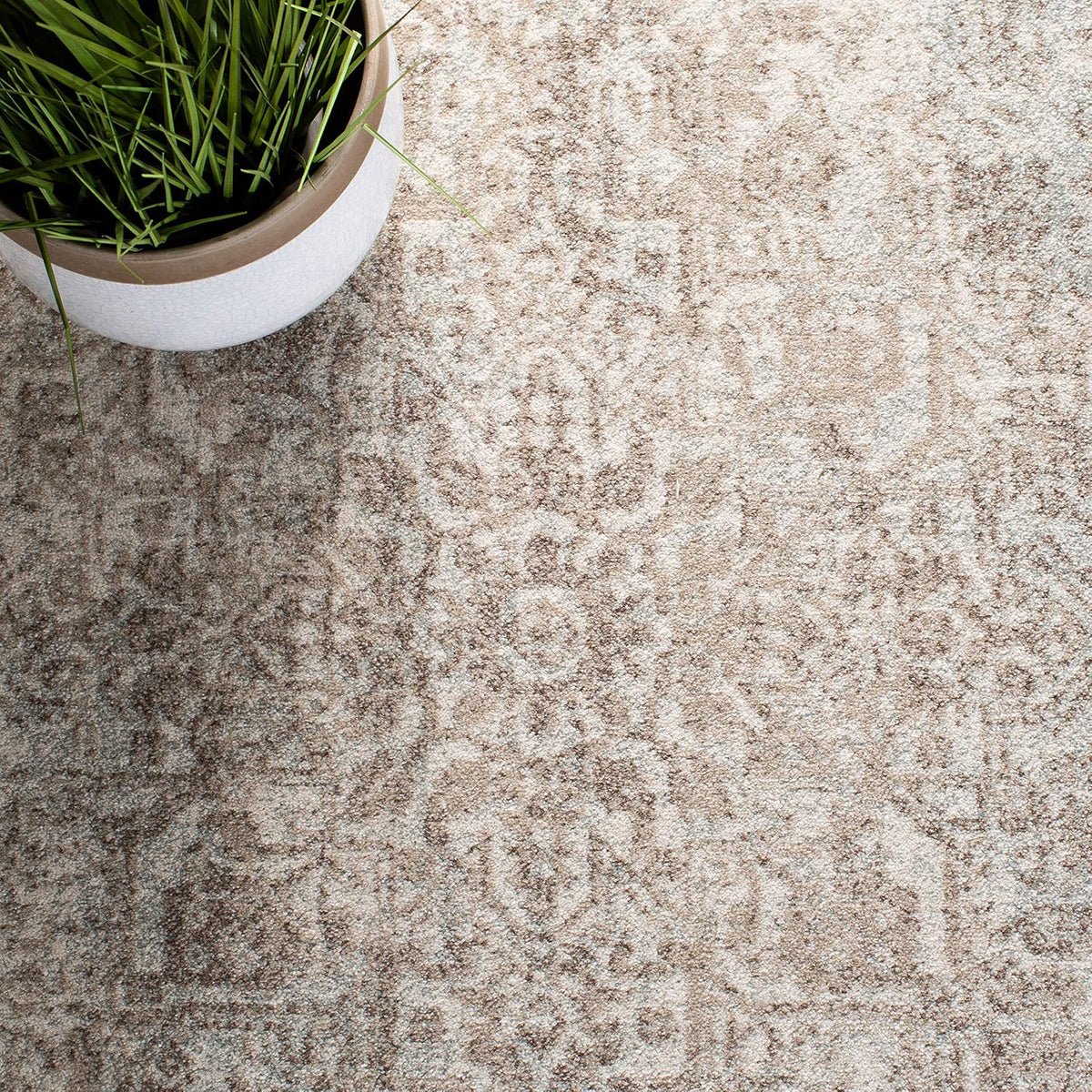 SAFAVIEH Evoke Area Rug 8x10 Large, Ivory & Taupe EVK256E