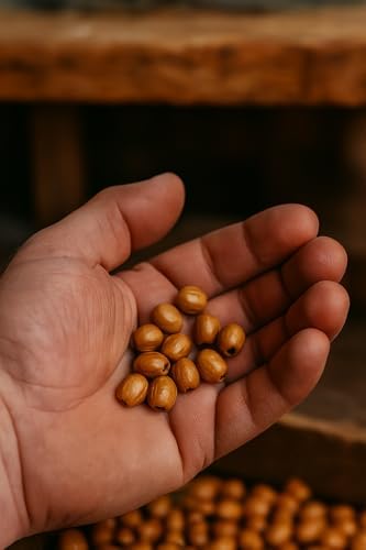 prayer beads for sale olivewood 10mm oval (500 showing dimensions