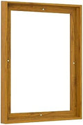 pixy canvas 16x24 inch floater frame for canvas, main product view