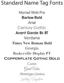 Custom Engraved Name Tag 1" x 3" Personalized Badge Magnetic or Pin Backing Made in The USA by Gem Awards (Silver)