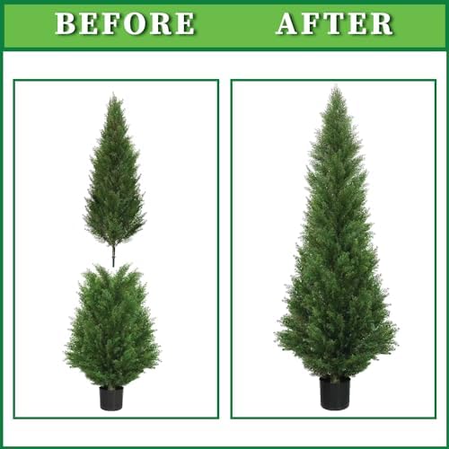 two 5 foot outdoor artificial cedar topiary trees showing dimensions