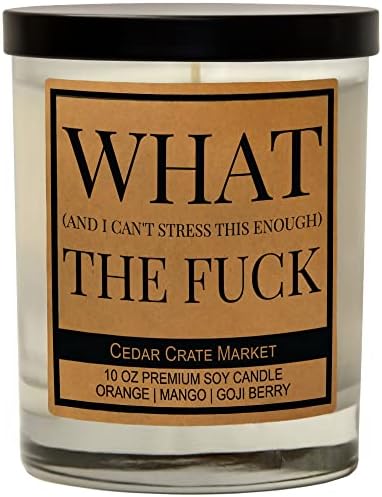 What (and I Can't Stress This Enough) The F, Best Friend, Friendship Gifts for Women or Men, Birthday, Going Away, Funny Gifts for Friends, Long Distance, Funny Candle, Scented Soy 10 oz Candle
