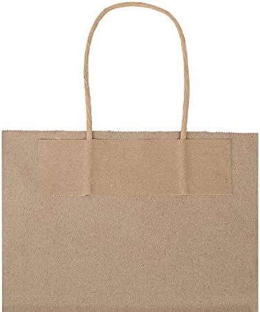 bagmad 100 Pack 8x4.75x10 Inch Plain Medium Paper Bags with Handles Bulk, Brown Kraft Craft Gift Bags, Grocery Shopping Retail Birthday Party Favors Wedding Sacks (Natural Brown, 100pcs)
