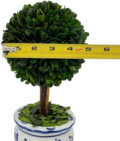 galt international naturally preserved boxwood ball topiary tree showing dimensions