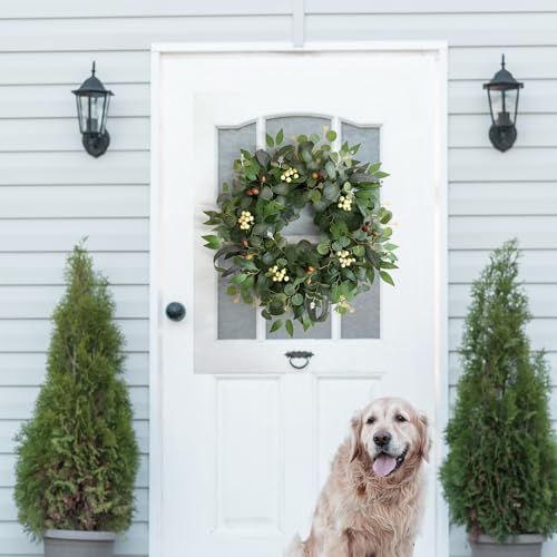 22-24" eucalyptus wreaths for front door,spring summer fall, front angle view