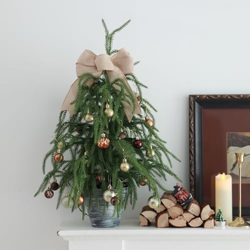 hiptree 2ft pre-lit real touch norfolk mini christmas, package contents