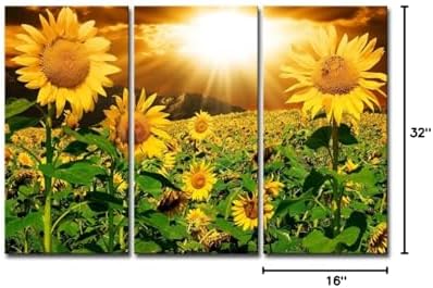 sunflower wall art canvas print sunrise picture, 3, view 9