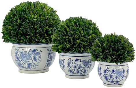 galt international 7" naturally preserved real boxwood ball showing dimensions