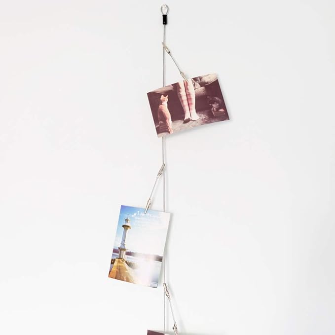 Wall Hanging Photo Display, DIY Picture Photo Frame String with 12 Clips for Hanging Photos Notes and Artworks (Adjustable Alligatory Clip)