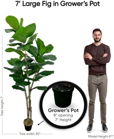 cypress & alabaster handmade 7ft oversized fiddle leaf, package contents