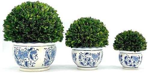 galt international 7" naturally preserved real boxwood ball, close-up detail