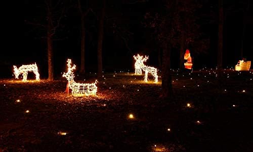 lawn lights illuminated outdoor decoration, led, christmas, 36-08 shown in use