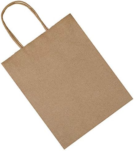 bagmad 100 Pack 8x4.75x10 Inch Plain Medium Paper Bags with Handles Bulk, Brown Kraft Craft Gift Bags, Grocery Shopping Retail Birthday Party Favors Wedding Sacks (Natural Brown, 100pcs)
